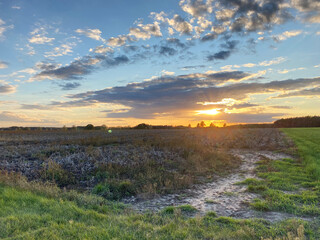 Sonnenuntergang beim Spaziergang am Feld