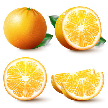 Set of isolated colored orange, half, slice, circle and whole juicy fruit on white background. Realistic citrus collection.