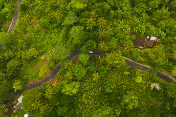 Top down overhead aerial view of a car driving on the asphalt road through lush green jungle Car on the road passing rural house in the rainforest in Bali, Indonesia