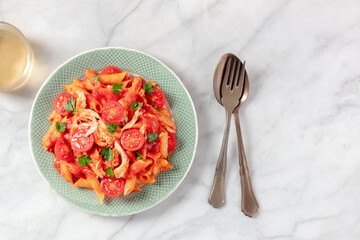 Penne pasta with chicken, tomatoes and parsley, shot from the top with copy space