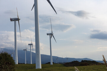 風力発電