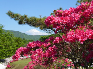 Mount Fuji