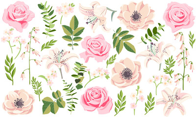 vector floral set