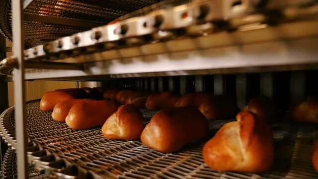 Sorting bread in production. Fresh bread on the counter. Bakery products. Close-up