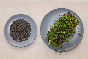 Sunflower sprouts and seeds on a plate. Vegetarian food