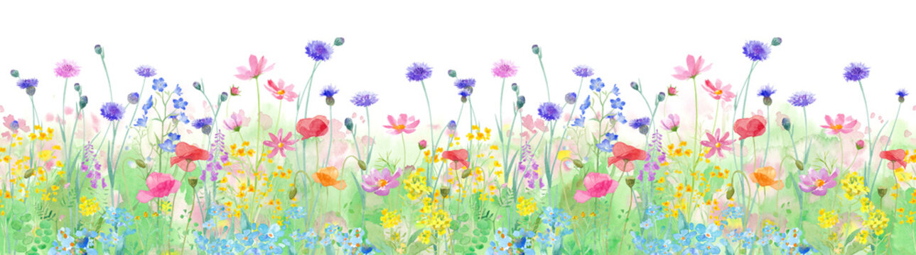 色々な花が咲き乱れる、春の野原の水彩イラスト。横方向シームレスパターン。パノラマ。