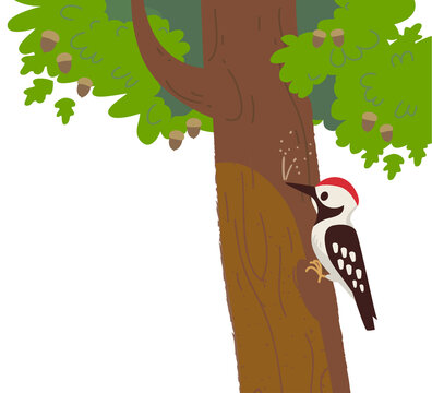 woodpecker pecking tree, cartoon style clip art preview