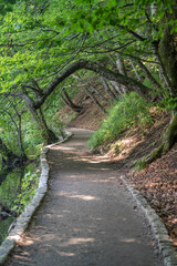 Pathway inside forests plitvice lake in Croatia summer