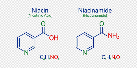 Niacin and niacinamide skeletal formula vector illustration. Nicotinamide, nicotinic acid molecule and simple text. Vitamin B3 image. Can use for medical, chemical cosmetic and scientific designs.