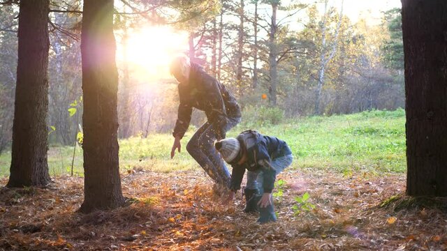 Children play in the pine Park, run around the trees, throw leaves. The sun's rays penetrate the pine forest. The laughter and joy of the family.