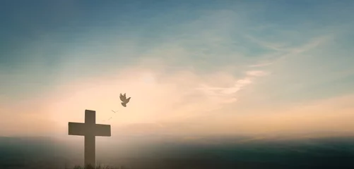 Foto op Plexiglas Silhouette jesus christ crucifix on cross on calvary sunset background concept for good friday he is risen in easter day, good friday worship in God, Christian praying in holy spirit religious. © Art Stocker