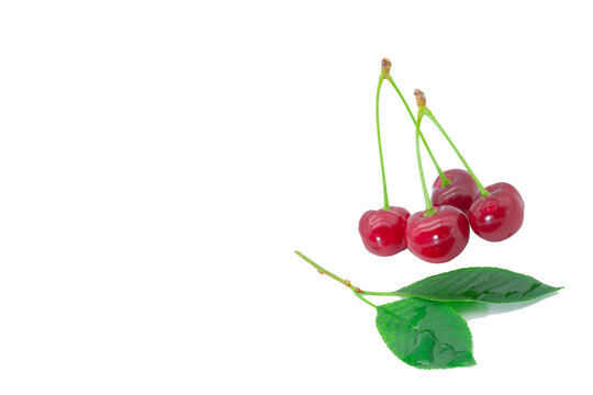 Red cherries on a white background. Isolated image.