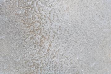 Obraz premium Snow in the water - water texture mixed with snow