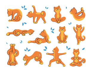 Fototapeta premium The collection of cats who are doing yoga to be healthy. The cartoon characters with text that can be customized. The set of vector illustrations is good for social media, and so on.