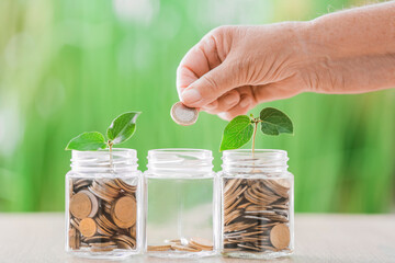 Hand of senior woman with savings and young plants in jars on table outdoors. Concept of pension