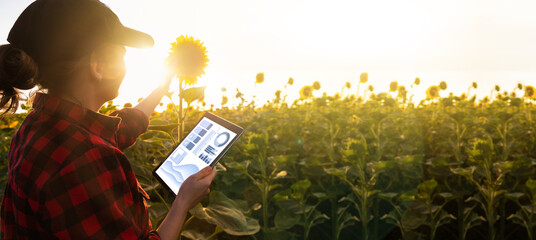 Farmer  with a digital tablet in the agricultural field.