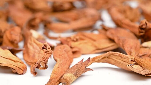 side view herb ChaoChongWeiZi or Leonuri Fructus or Fried Common Motherwort Fruit rotating