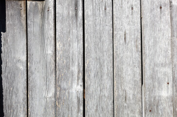 Fototapeta premium Wooden wall planking. Texture of grey wooden fence. Background of old wood planks rustic