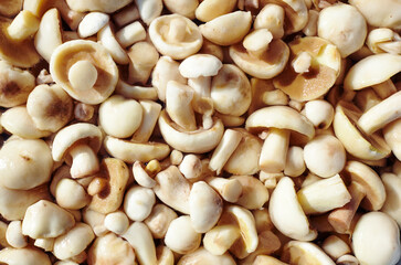 Clean, peeled Suillus mushrooms in metal pan