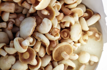 Clean, peeled Suillus mushrooms in metal pan