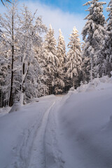 Obraz premium Winter mountain scenery with snow covered hiking trail, trees and blue sky with clouds