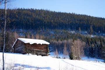 Old abandonment house on the countryside. Winter and cold. From Gol, Norway.  © SteinOve