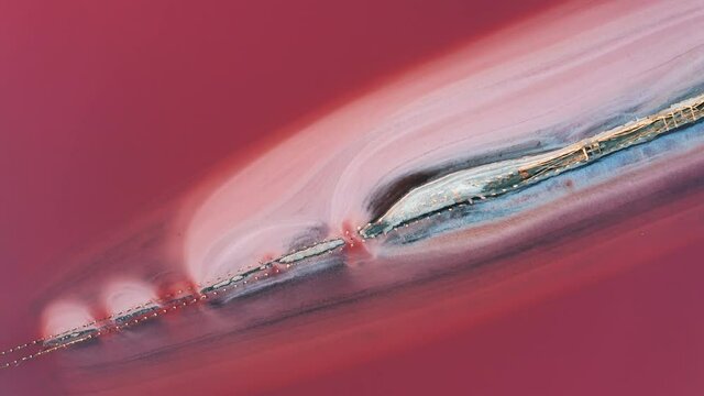 Aerial view of the salty pink lake. Genichesk, Ukraine.
