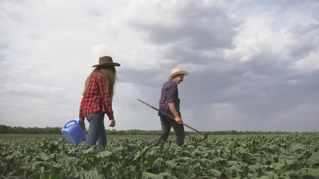 Agriculture. Farmer family in a green field. Organic food concept. Agriculture and business. Family of farmer inspecting the harvest. agriculture organic food. Farmer family business concept.