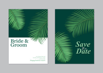 Tropical palm leaf background template. Vector set of natural element for wedding invitations, greeting card, envelope, voucher, brochures and banners design.