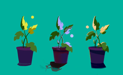 Three potted flowers with three different directions of light, different shade of the pot on the surface depending on the direction of light