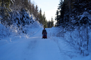 Mother and daughter walking on a winter road. Cold but sun. Shot in Gol, Hallingdal.