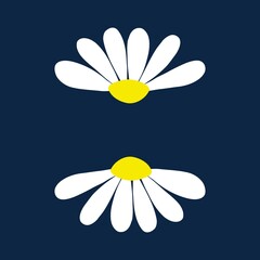 Chamomile daisy set on dark blue background with isolated chamomiles daisies. Vector illustration.