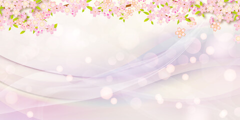 Fototapeta premium 桜 背景