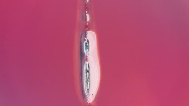 Aerial view of the salty pink lake. Genichesk, Ukraine.