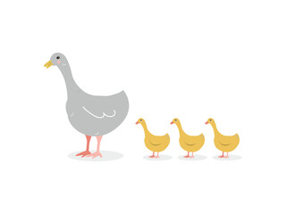 Goose with goslings isolated image on white background. Cute print. Gray goose and yellow goslings in cartoon simple flat style. Vector illustration.