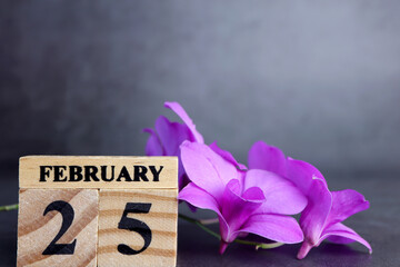 Day 25 of february month, Wooden calendar with date. Empty space for text.