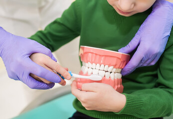 Dentist with toothbrush and jaw layout showing how to brush teeth to patient kid. Closeup.