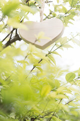 Obraz na płótnie Canvas A wooden heart on tree,background for valentine's day.