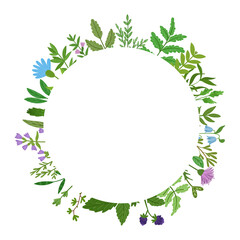 Wild herbs wreath. Cartoon leaves,brunches,flowers,twig isolated on white background. Vector hand drawn illustration.