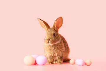 Cute fluffy rabbit with Easter eggs on color background