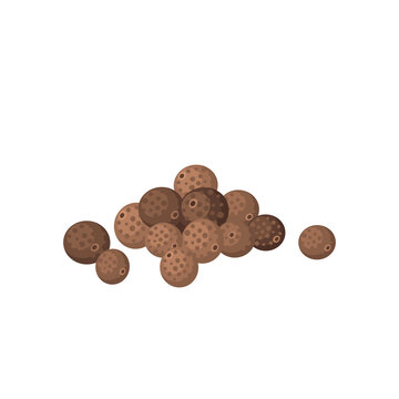 Allspice. Vector Illustration Cartoon Flat Icon Isolated On White Background.