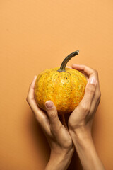 Top view of female hands holding fresh little pumpkin isolated over orange background. Fall season, healthy eating concept