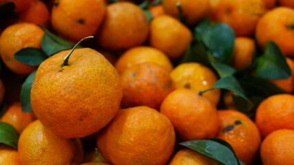 fresh citrus oranges which have a refreshing sweet taste