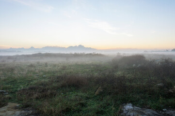 Alba in campagna con cielo sereno e nebbia tra i cespugli.
