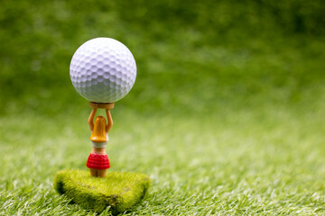 Caddy is carrying golf ball tee off green grass background