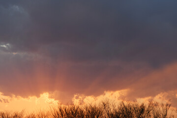 Obraz na płótnie Canvas 夕陽と雲