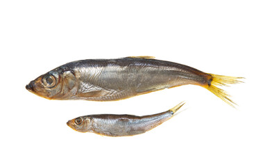 smoked fish sprat on a white plate