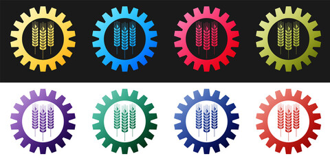 Set Wheat and gear icon isolated on black and white background. Agriculture symbol with cereal grains and industrial gears. Industrial and agricultural. Vector.