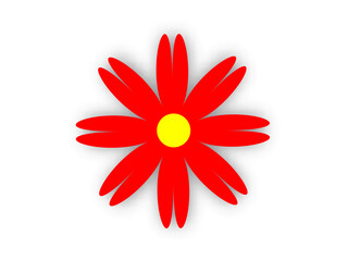 flower, isolated, daisy, red, white, gerbera, nature, petal, floral, plant, bloom, blossom, macro, beauty, flowers, single, spring, flora, summer, beautiful, color, gerber, yellow, pink, close-up