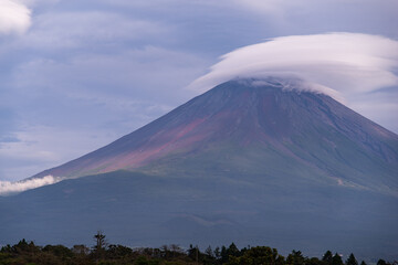 Fototapeta na wymiar 美しい富士山